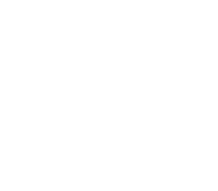 K1体育APP