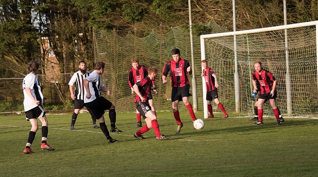 日本对足坛 日本对足坛