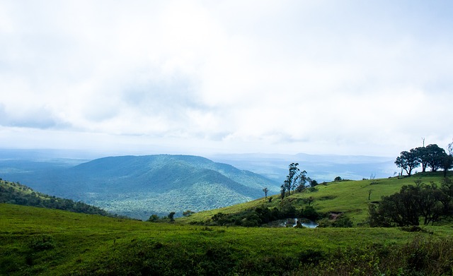 仅仅是一次 仅仅是一次