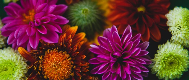 提供了坚实 提供了坚实