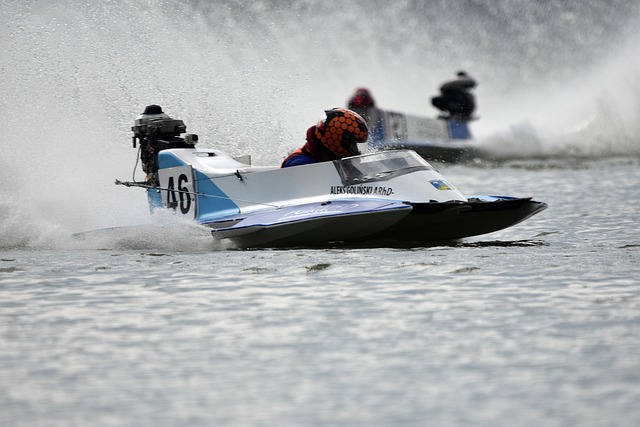 鹿阵容中起 鹿阵容中起