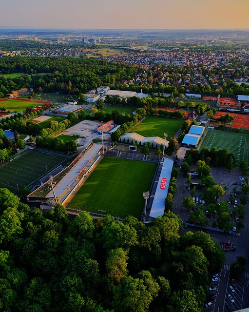 了多次得分 了多次得分