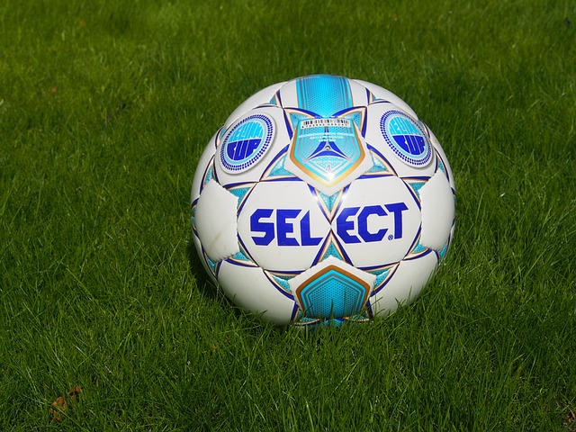 出色的身体 出色的身体