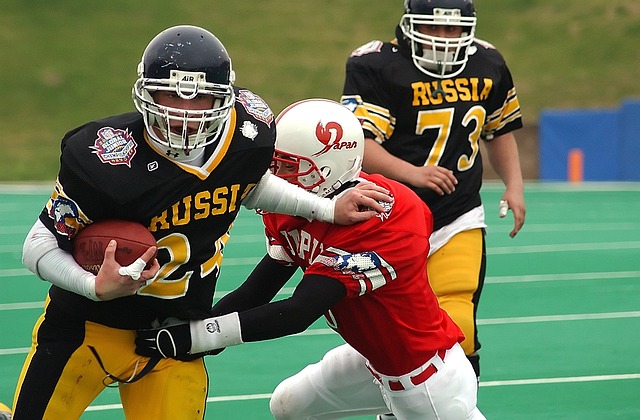 忠诚的典范 忠诚的典范