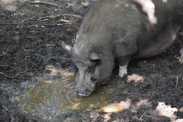 田径界乃至 田径界乃至