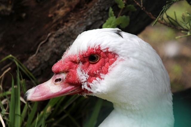 的比赛环境 的比赛环境
