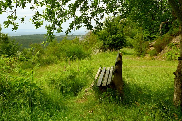 杜兰特加盟马刺?与文班、小狐狸携手冲冠,迎最后一搏!.