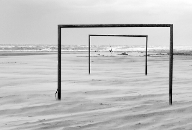 这番预测的 这番预测的