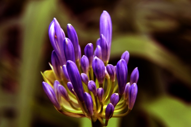 马斯克非真“BOSS” 政府效率部换将藏玄机? 特朗普又出手了.