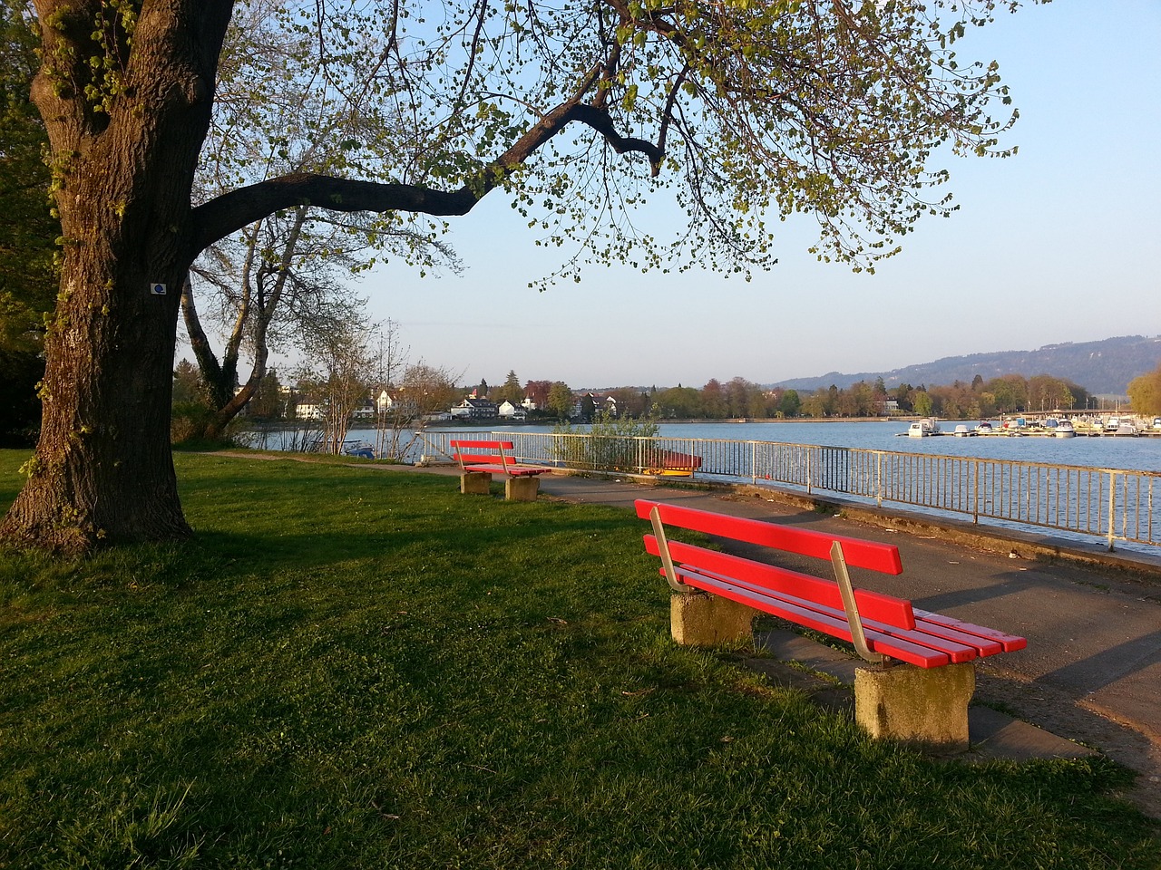 爱好者则表 爱好者则表